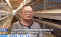 价格暴涨300%，它从“没人要”到“买不到”