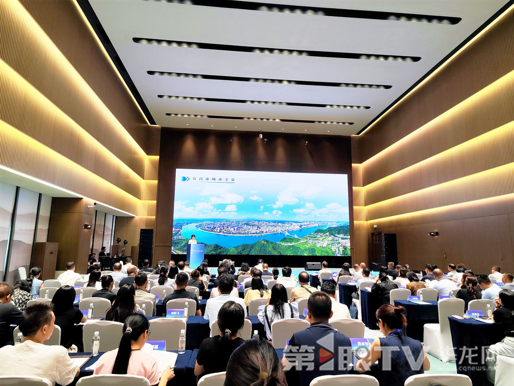 长江流域国家级文化生态保护区推介会在重庆举行。第1眼TV-华龙网记者 罗盛杰 摄