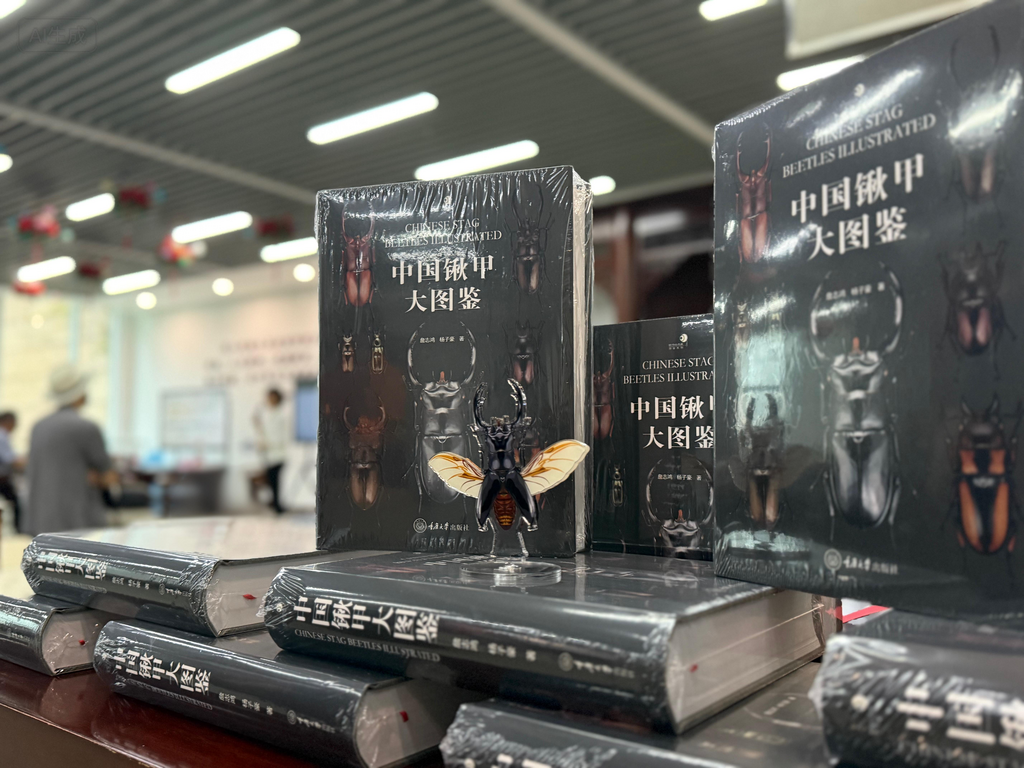 活动现场。受访单位供图