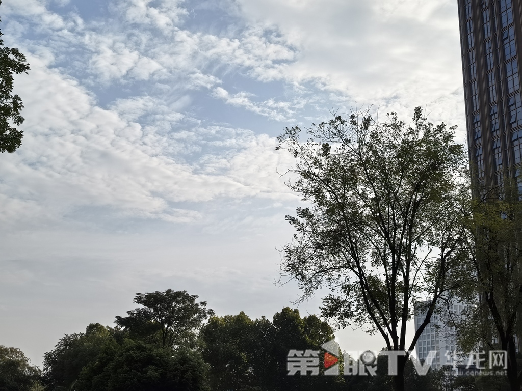 今日重庆中心城区天气晴好。第1眼TV-华龙网 李舒 摄