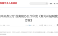大利好，这个赛道要起飞！这些概念股有望受益