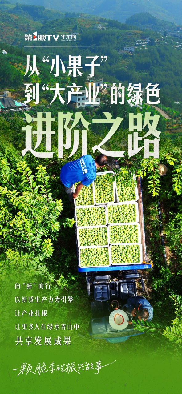 微信图片_20250816180156_114