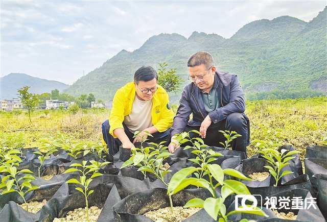未命名图片
