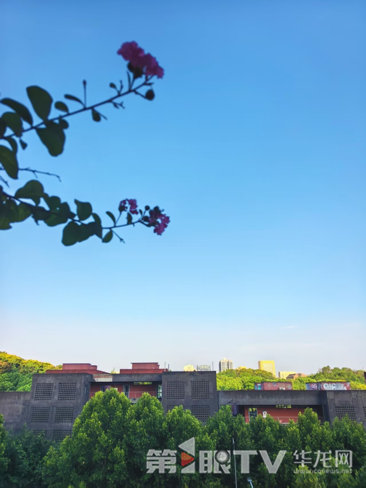 今日，重庆中心城区天气晴朗。第1眼TV-华龙网首席记者 李文科 摄