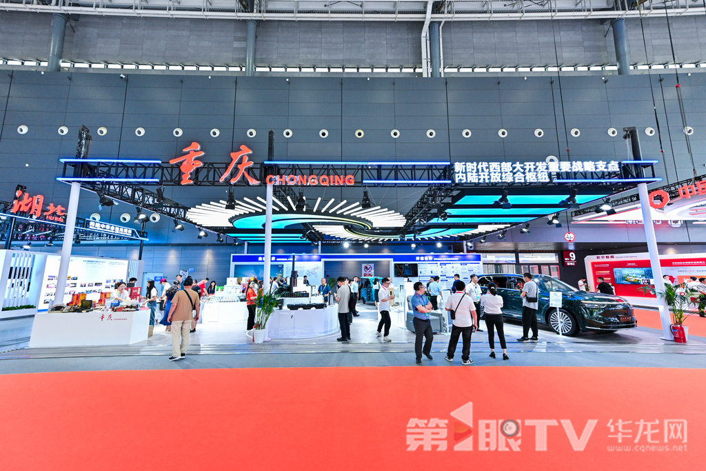 第四届中非博览会举行,重庆首次担任主宾市。第1眼TV-华龙网特派记者 董进 摄