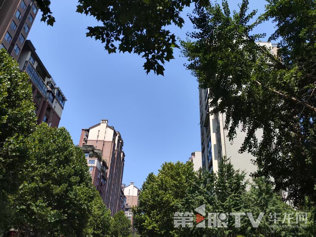 今日重庆中心城区天气晴热。第1TV-华龙网 实习生 刘湘婷 摄