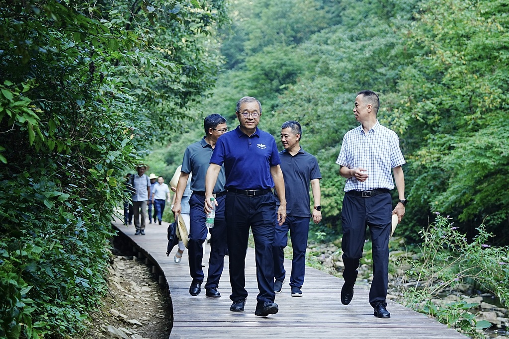 会议期间，主办方开展了现场调研。重庆市林业局供图