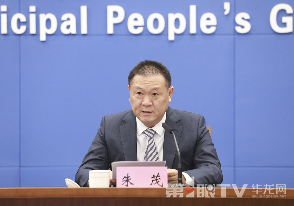 市文化旅游委党组成员、副主任朱茂回答记者提问。第1眼TV-华龙网首席记者 李文科 摄