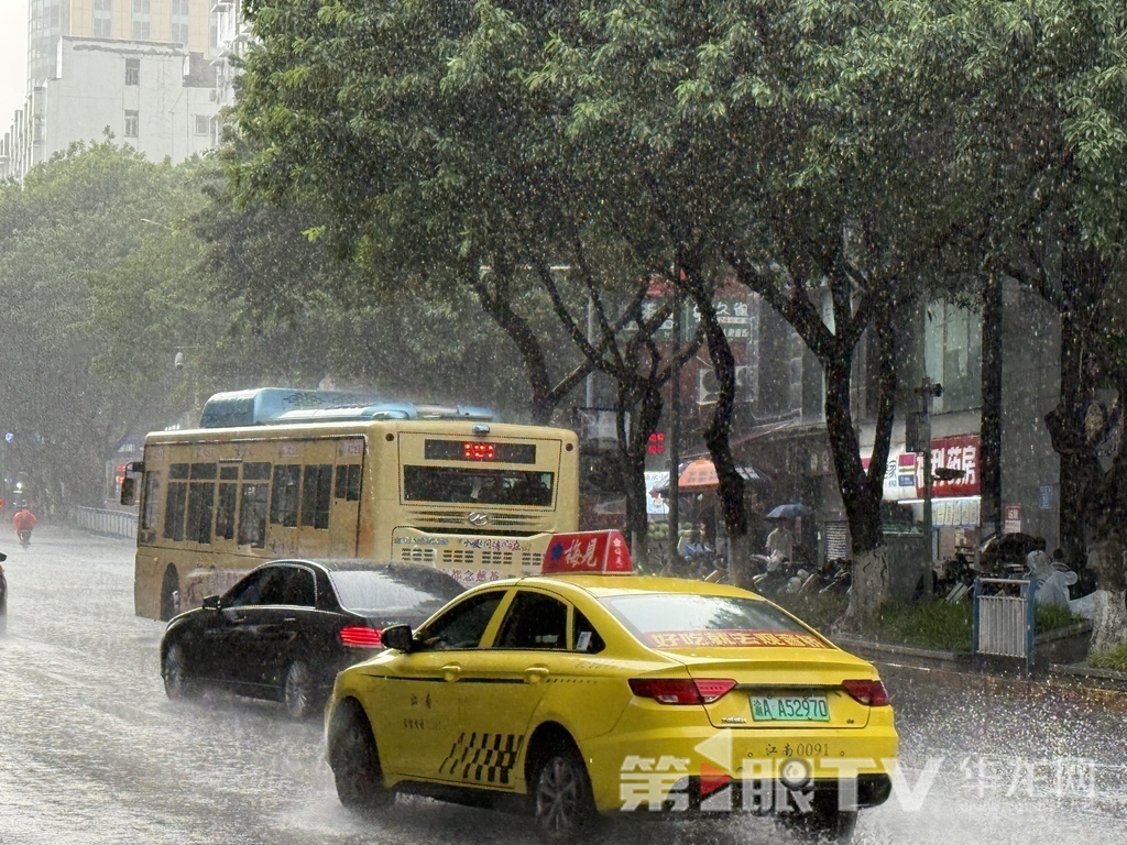 今日重庆中心城区有强降雨。第1眼TV-华龙网记者 谢鹏飞 摄