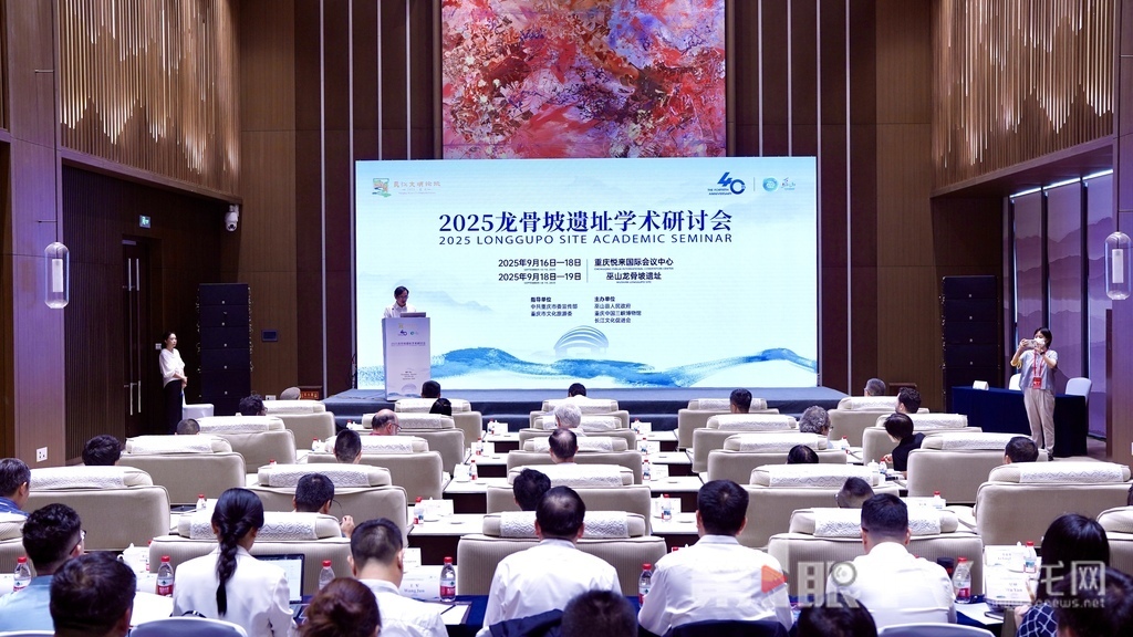 2025龙骨坡遗址学术研讨会活动今日举行。 第1眼TV-华龙网记者 刘钊 摄