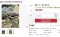 法院拍卖2500斤活鳄鱼:竞买人需自行抓捕、运输,不适宜使用电击