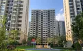 上海最大原拆原建小区回搬半月：月租炒到约3000元，有房源挂牌价超5.9万