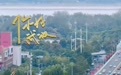 国庆高峰时段，武汉轮渡启用预约制