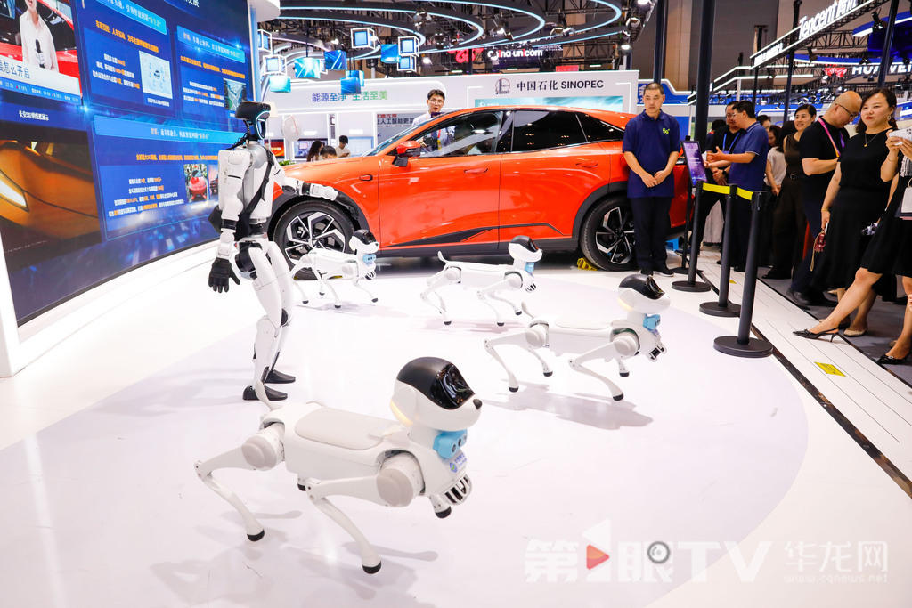01——中国移动展区，四足机器狗和双足人形机器人正在进行表演。第1眼TV-华龙网记者 石涛 摄