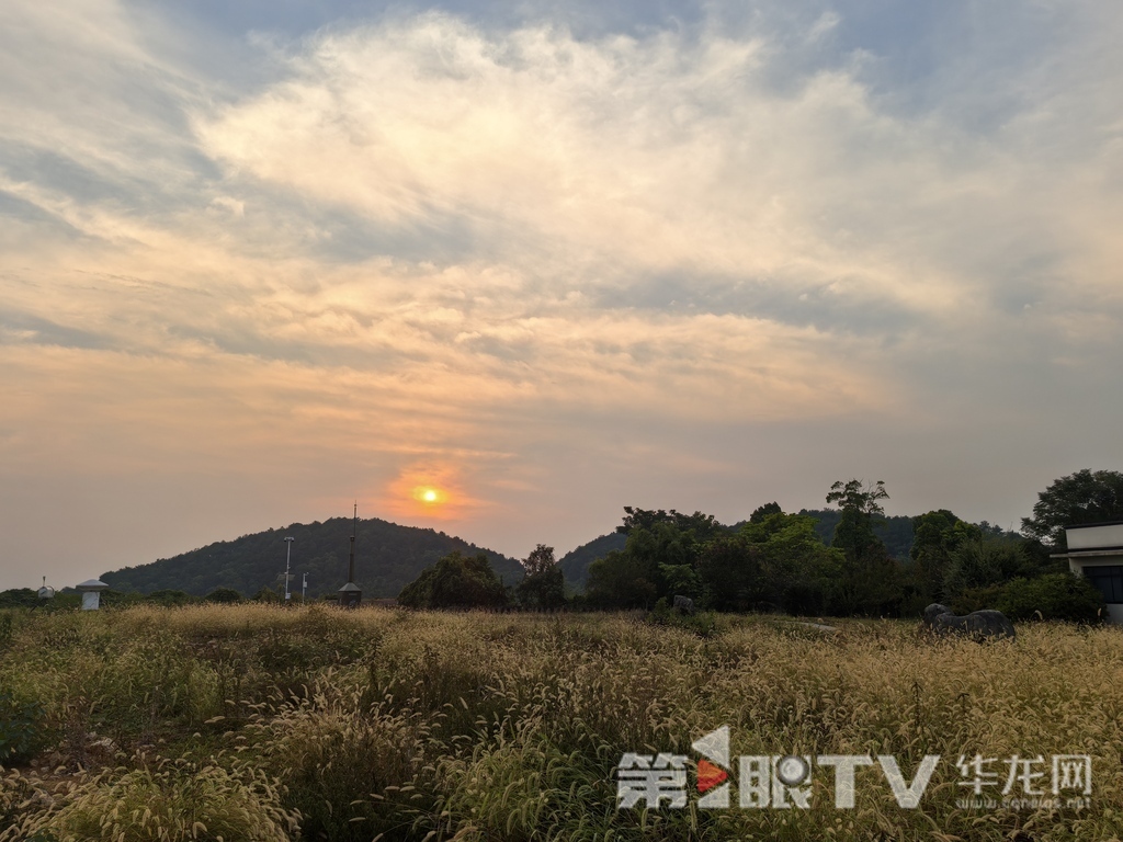 今日重庆中心城区天气晴好。第1眼TV-华龙网 李舒 摄