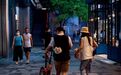 宠物店跑路,越来越多