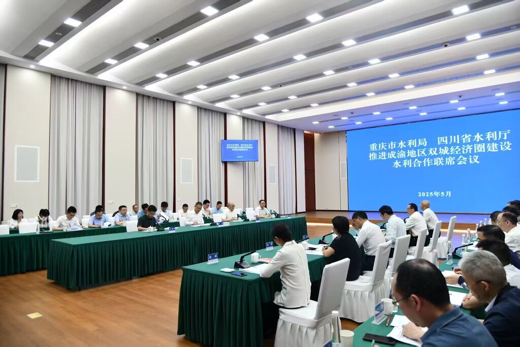 会议现场。重庆市水利局供图