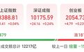 净流入A股第一!002463,涨停
