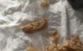 与李子柒决裂后，微念“B计划”的网红螺蛳粉出事了