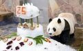 日本网友炸锅:熊猫遗体也必须制成标本归还中国?是不是管得太宽?
